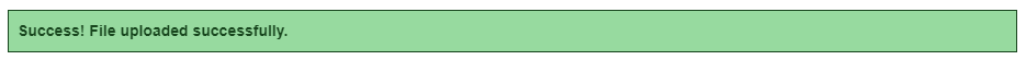 File Upload Success