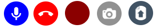 In-call action buttons