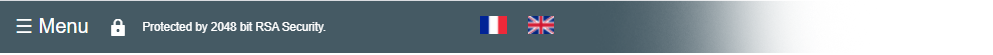 Different language options int he language bar